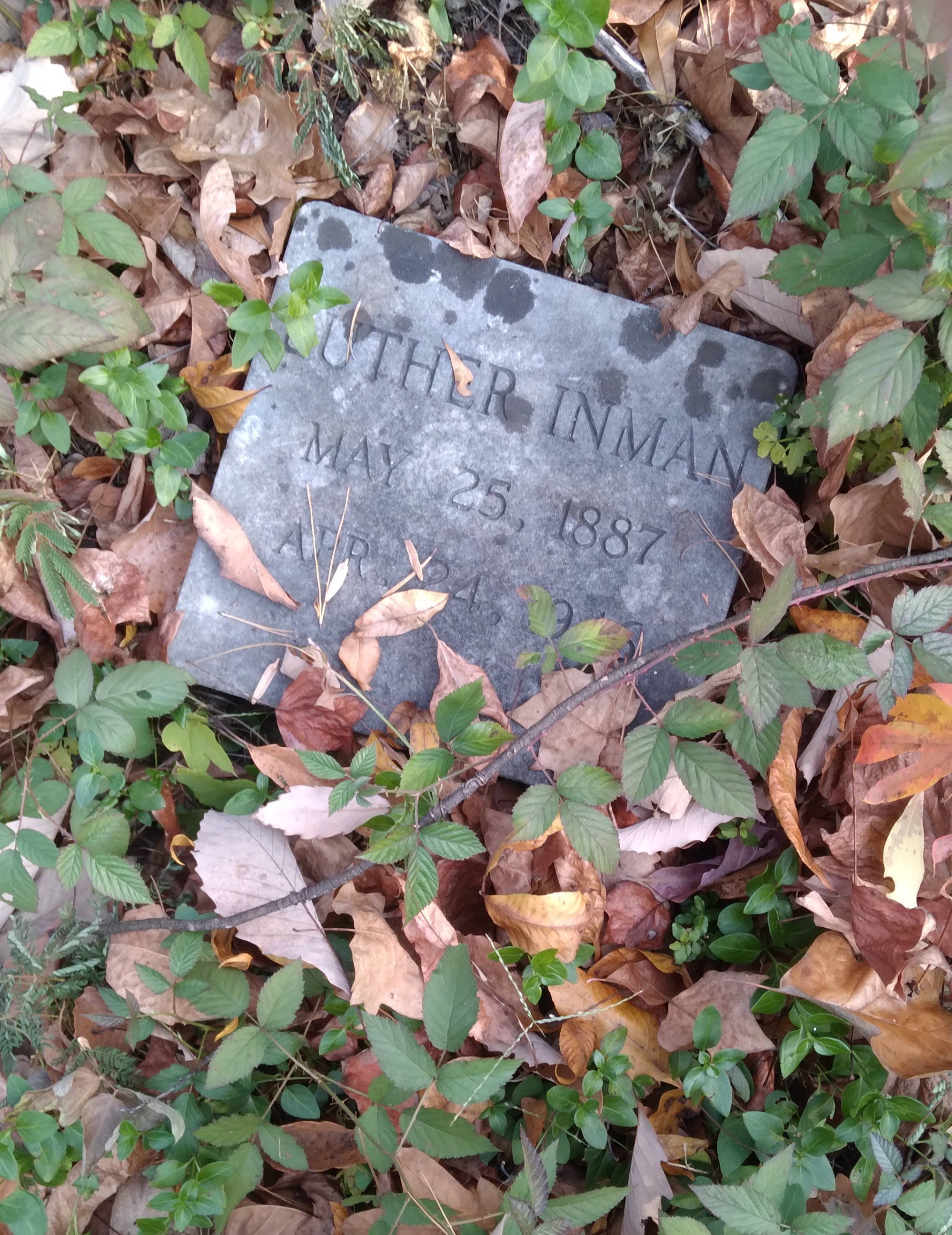 Luther Inman grave. Buck Knob Cemetery, Dartmouth Street, Chattanooga, Tennessee.