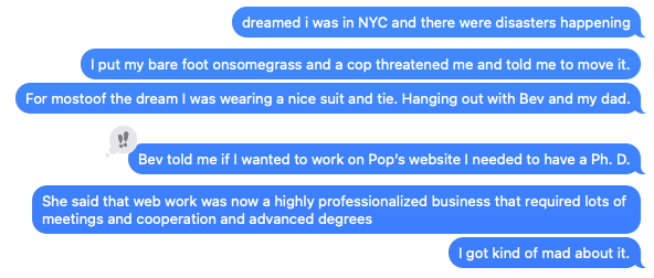 screenshot of a text conversation describing a dream