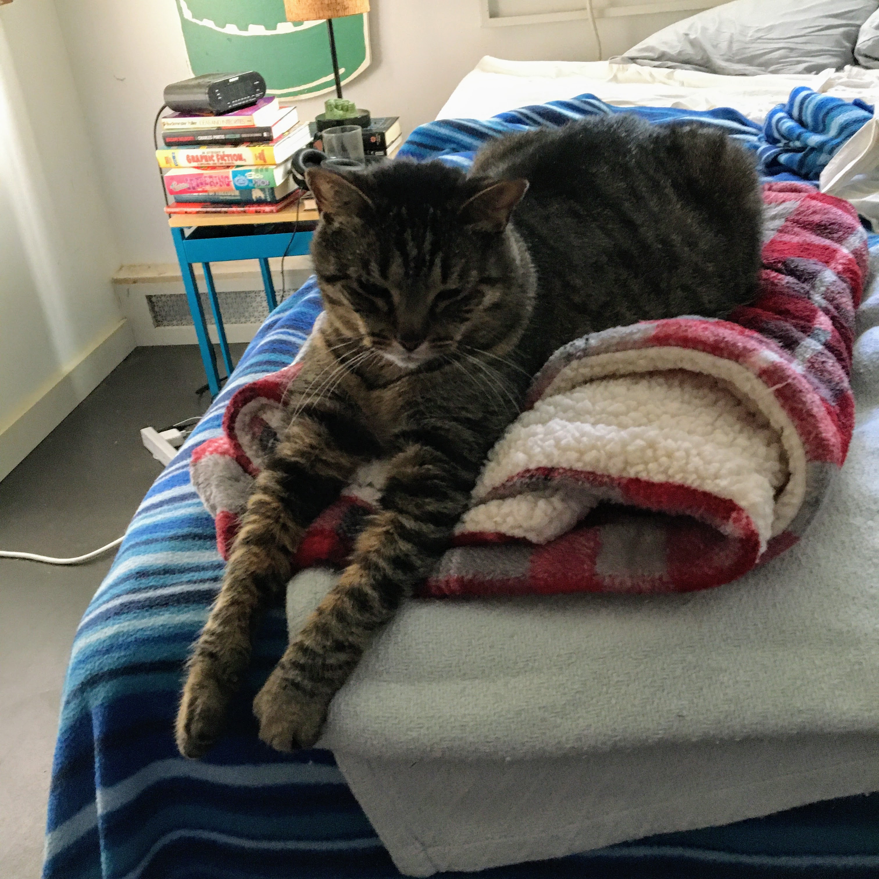 Hot legs Buddy hanging his legs off the bed