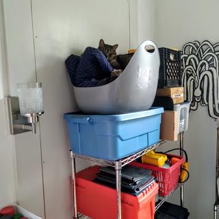 Buddy found a new place to sleep.