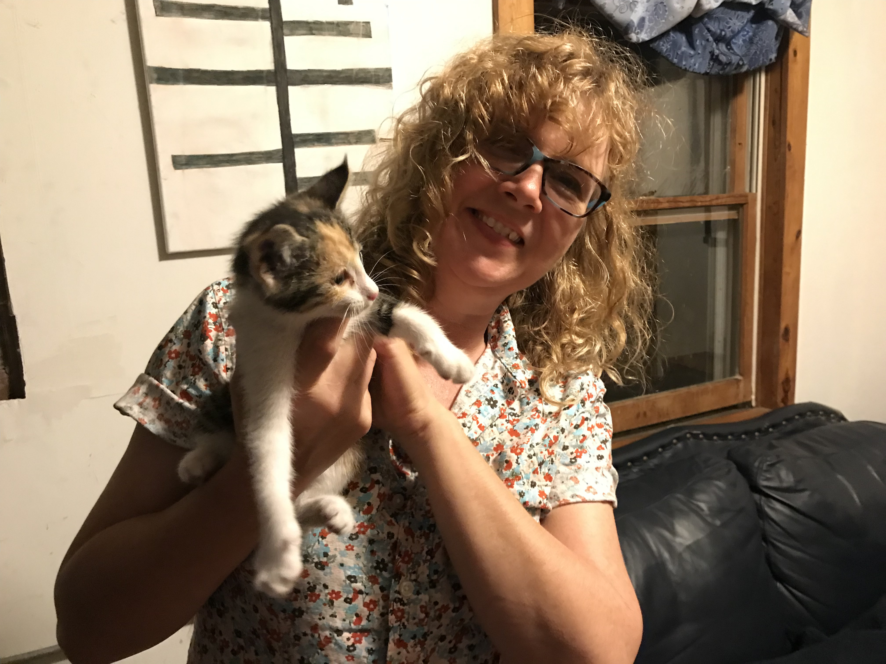 Gina found a kitten in Kentucky.