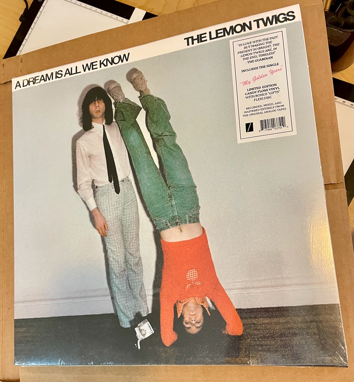 Lemon Twigs album came in the mail.