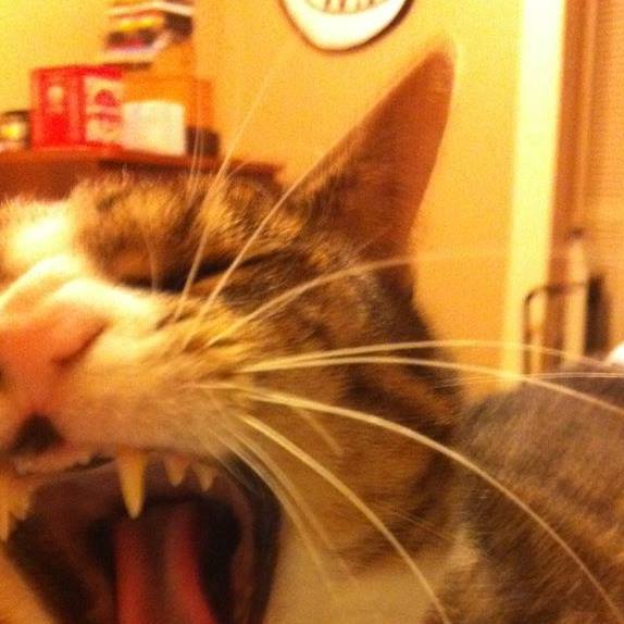 Sally yawning