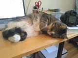 Sally stayed in the air conditioning.