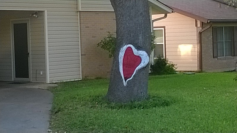 Stupid-looking heart painted on a tree that didn't deserve it.