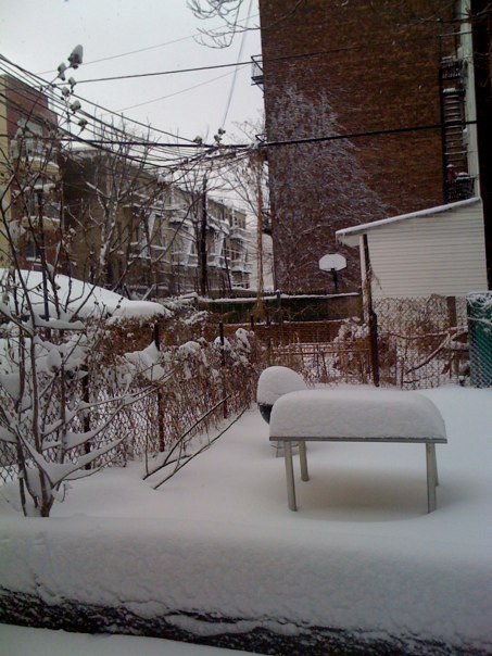 Blizzard in Brooklyn, 181 Irving Avenue, February 26, 2010.