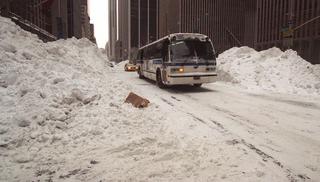 I survived the NYC Blizzard of 1996.