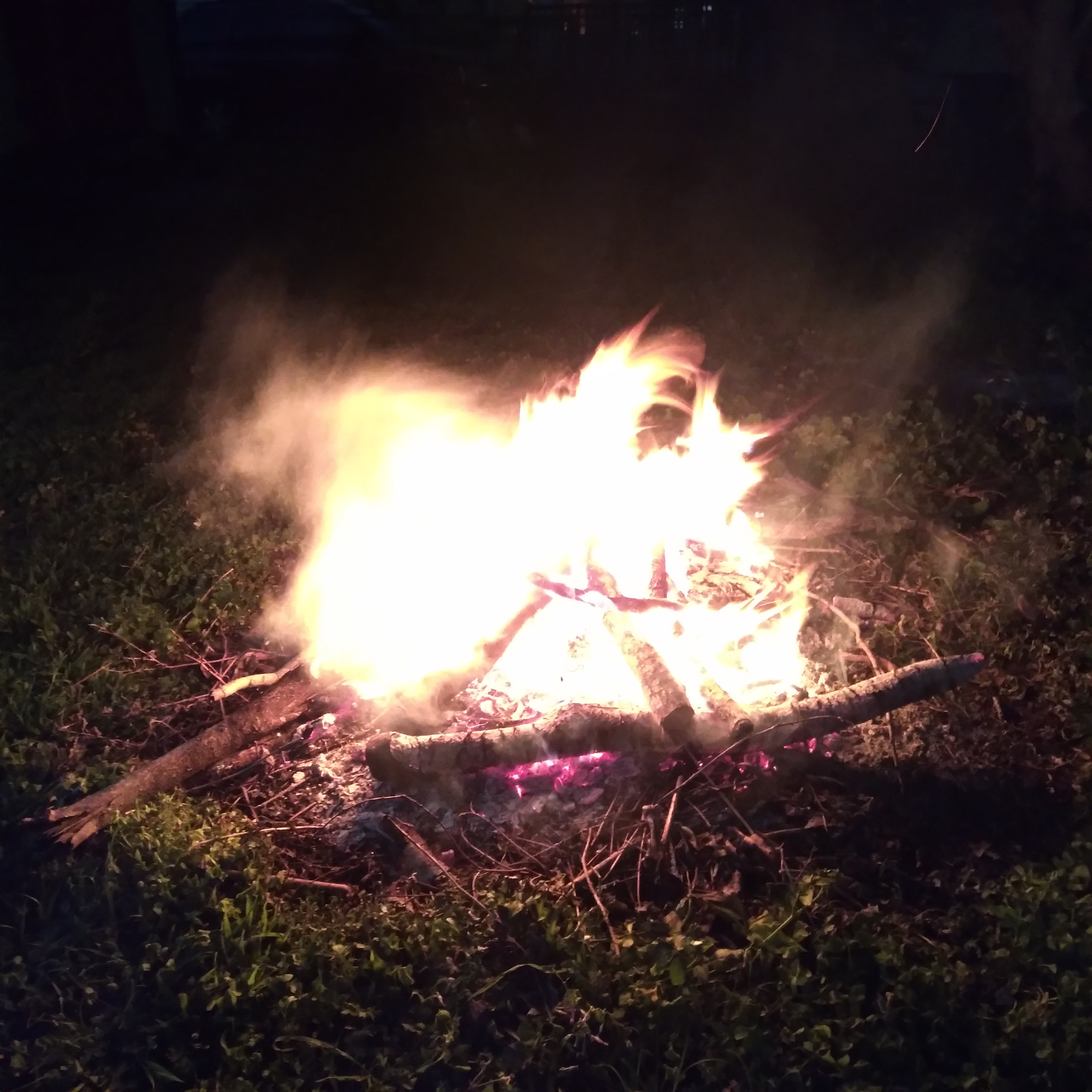 a bonfire at 315 Tricou Street, New Orleans, April 7, 2021.