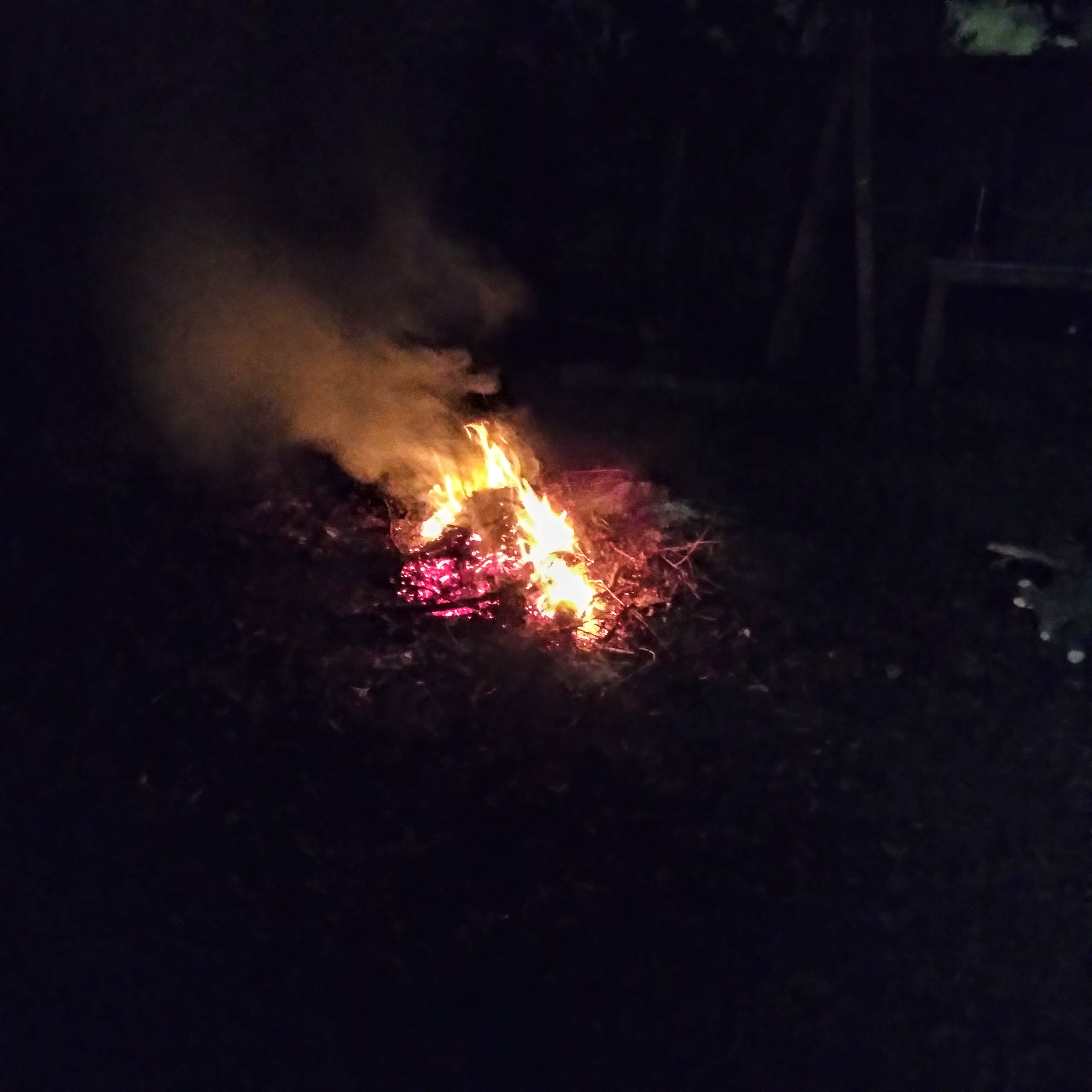 Gina Phillips and Daisy the dog at a bonfire, Tricou Stret, New Orleans, September 27, 2021.