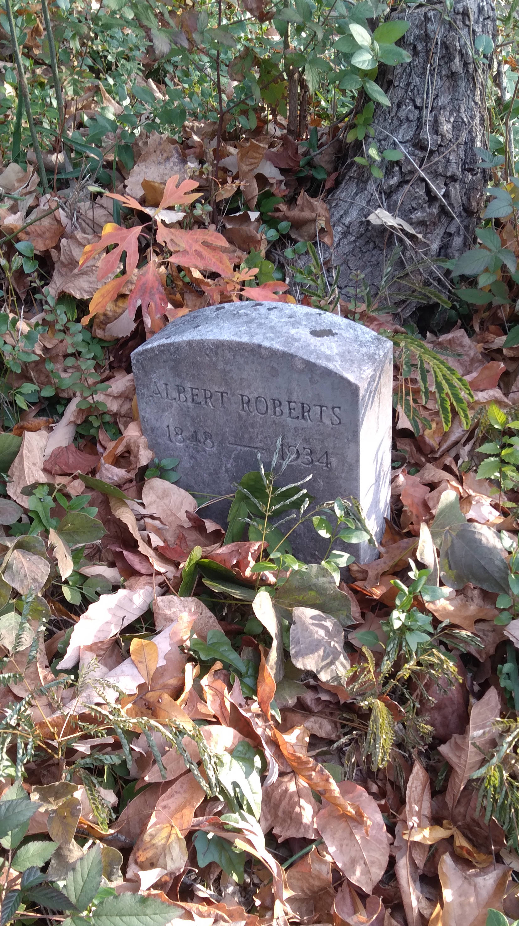 Albert Roberts grave. Buck Knob Cemetery, Dartmouth Street, Chattanooga, Tennessee.
