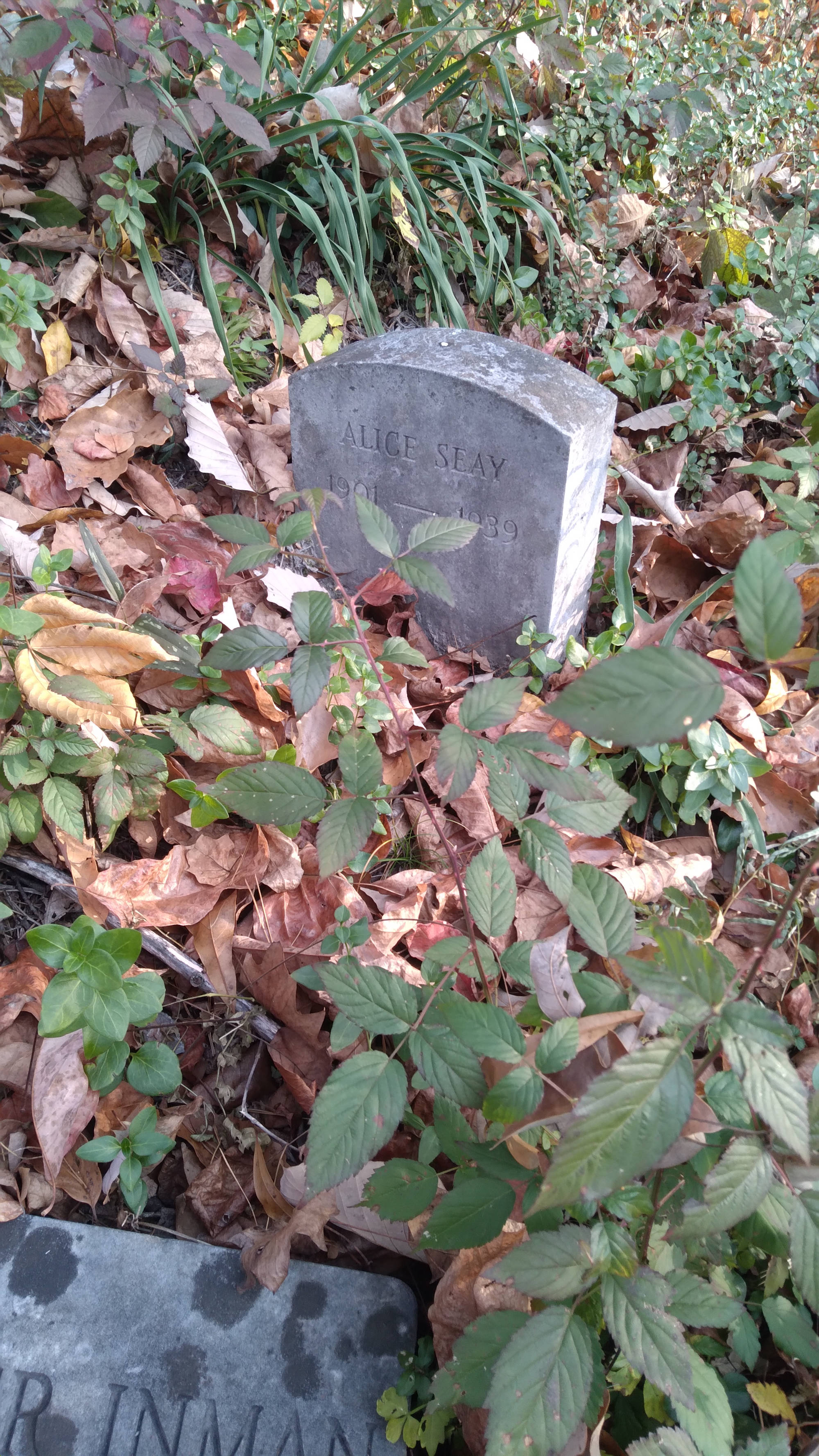 Alice Seay grave. Buck Knob Cemetery, Dartmouth Street, Chattanooga, Tennessee.