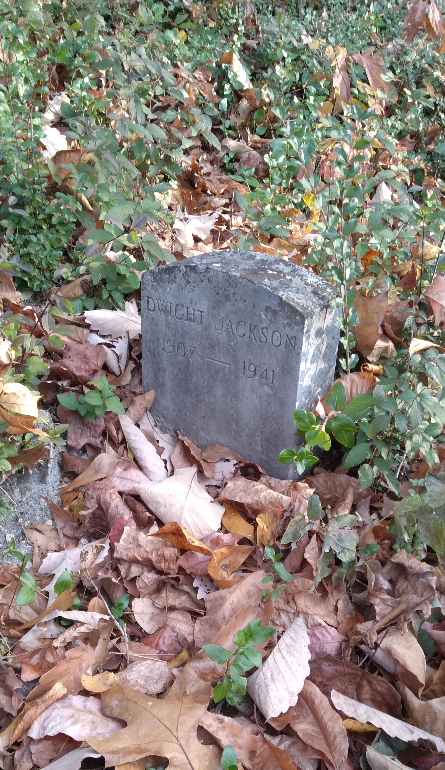 Dwight Jackson grave. Buck Knob Cemetery, Dartmouth Street, Chattanooga, Tennessee.