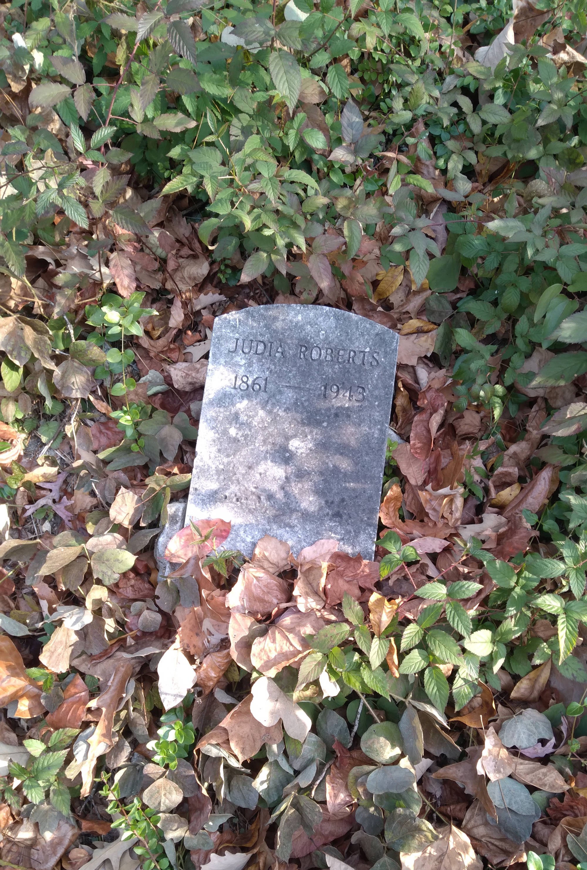 Judia Roberts grave. Buck Knob Cemetery, Dartmouth Street, Chattanooga, Tennessee.