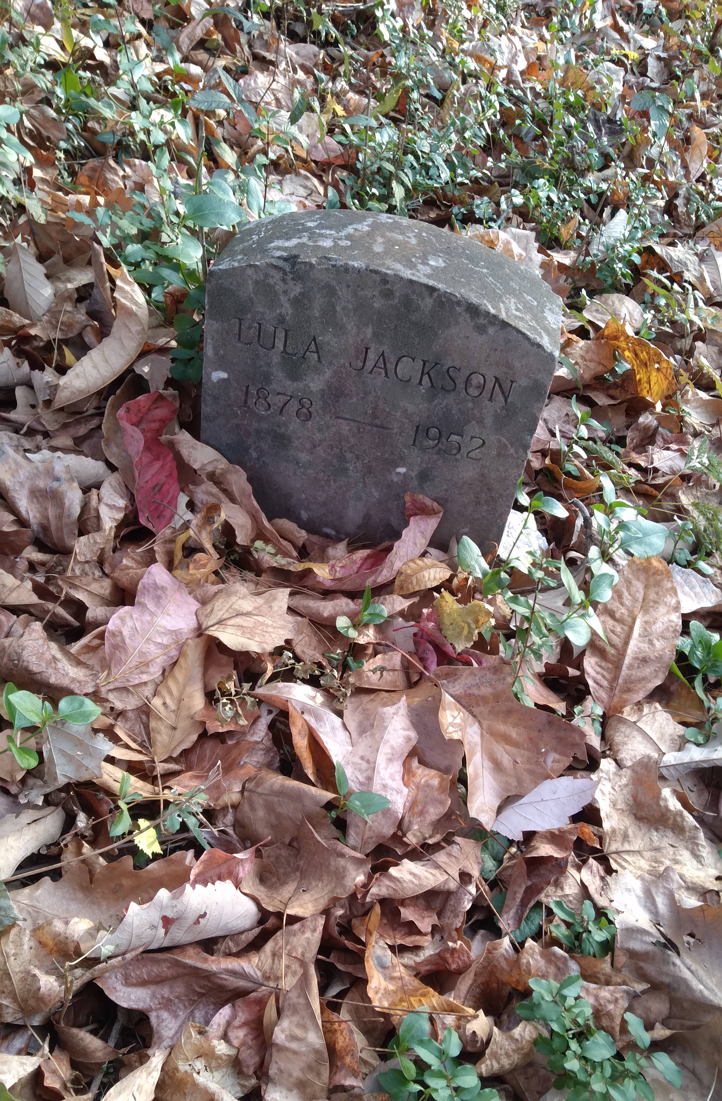 Lila Jackson grave. Buck Knob Cemetery, Dartmouth Street, Chattanooga, Tennessee.