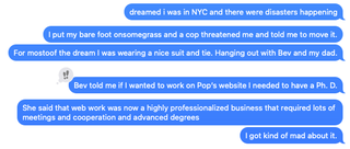 I dreamed my sister told me web work was now a professional business, and I wasn't qualified to do it.