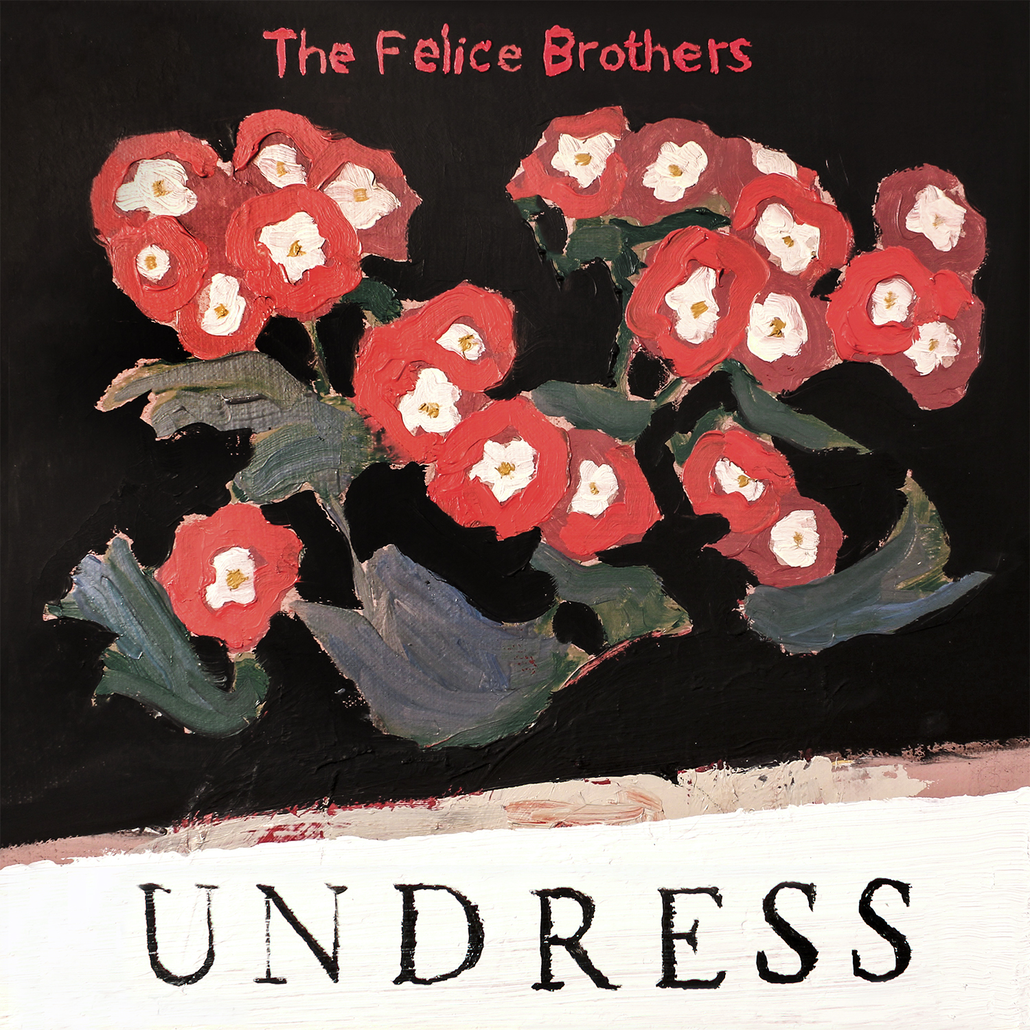 Felice Brothers album cover for Undress
