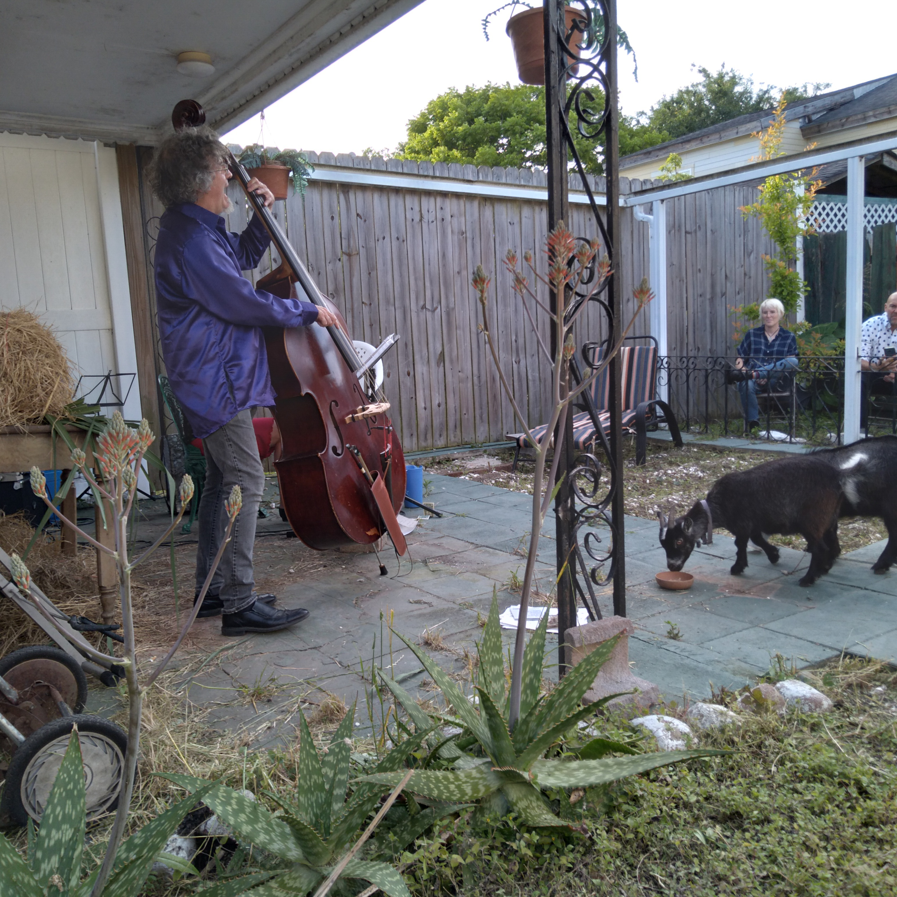 Stoo Odom and Allison Lovejoy perform.