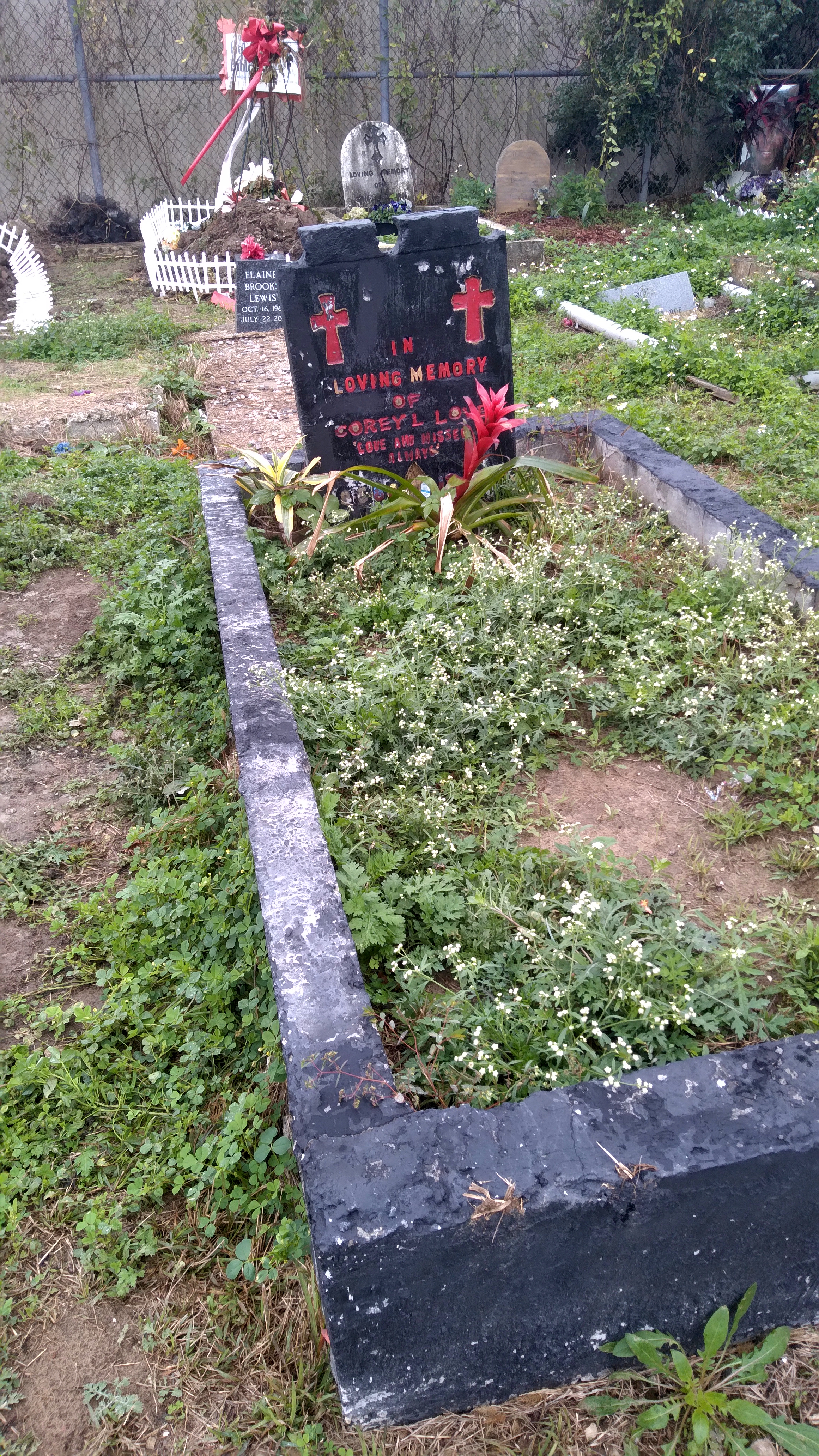 With Gina Phillips at Holt Cemetery in New Orleans