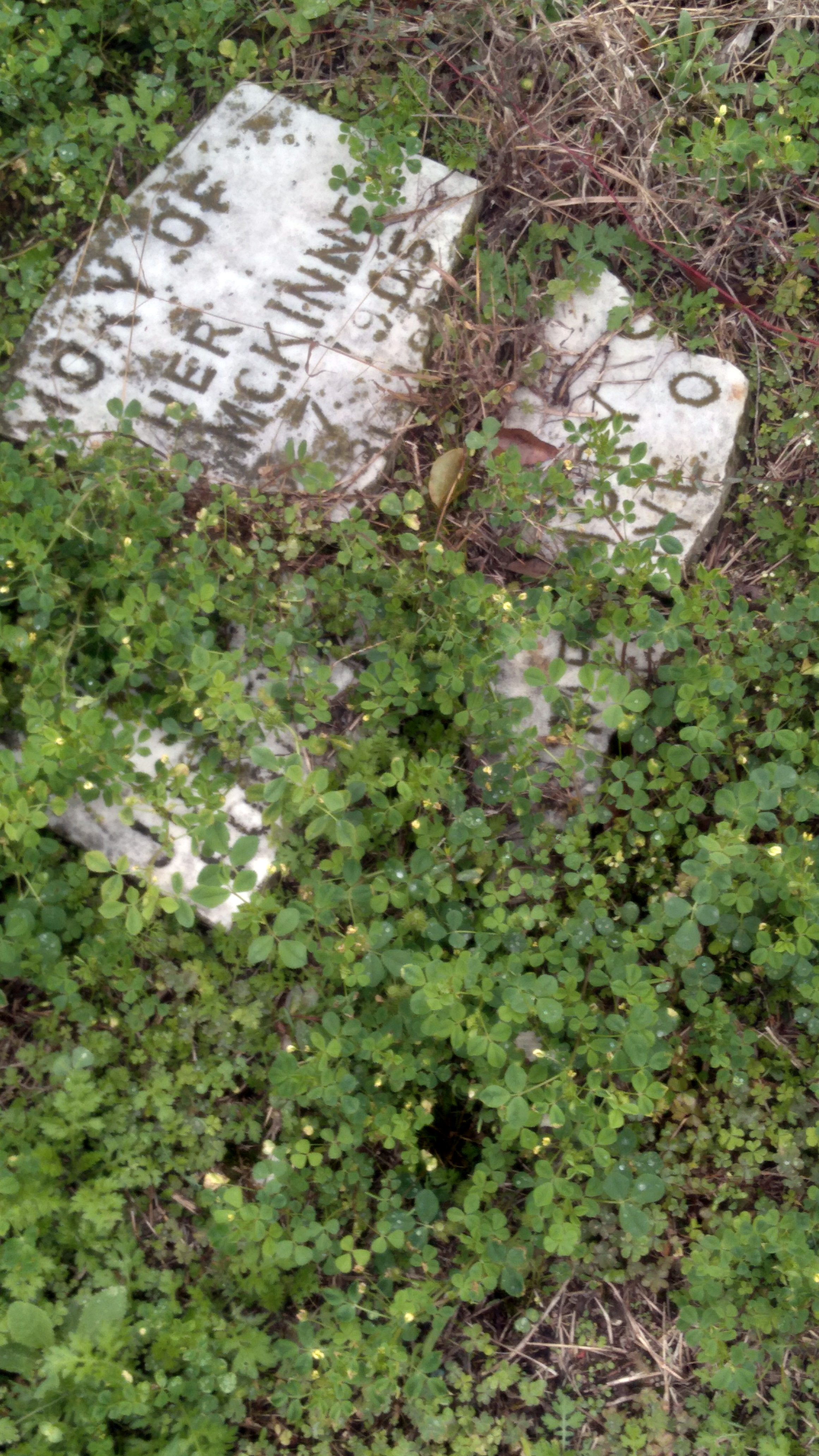 With Gina Phillips at Holt Cemetery in New Orleans