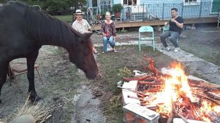 Went to a bonfire in the Lower Ninth Ward with a horse.