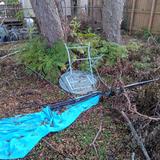 We came home after Hurricane Ida to survey the damage.