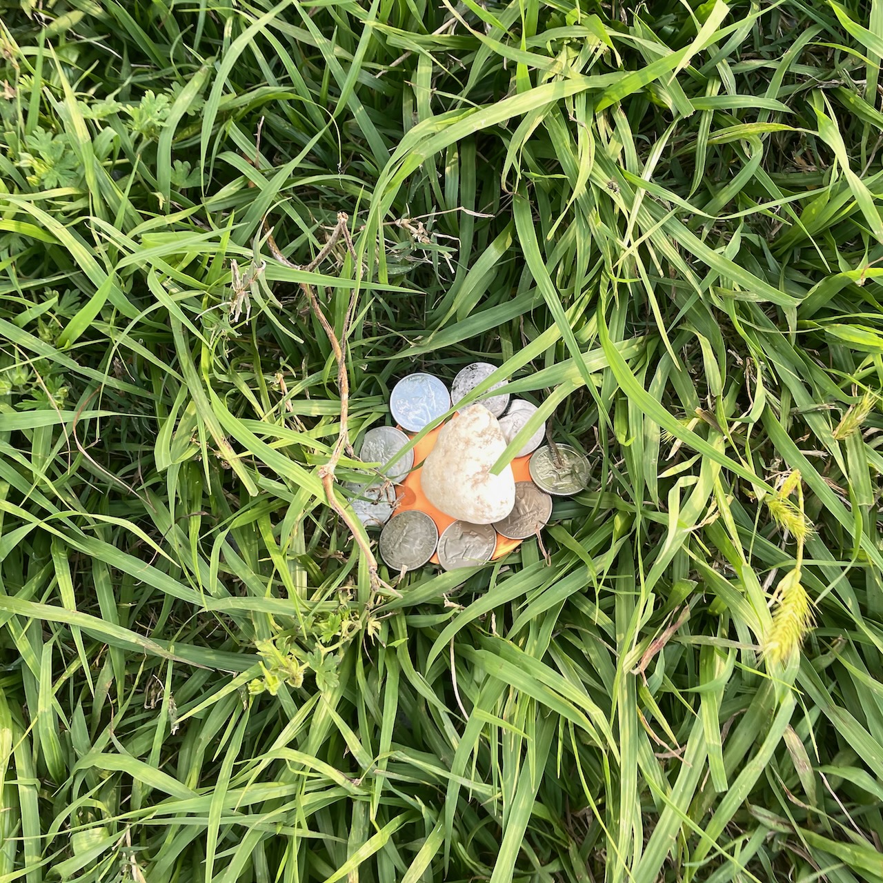 someone's offering on the levee