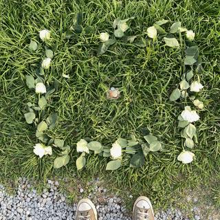 I saw someone's offering on the levee.
