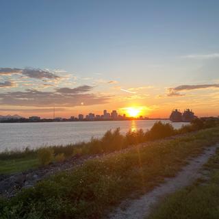 I went walking on the levee and snapped a sympathy card-worthy sunset.