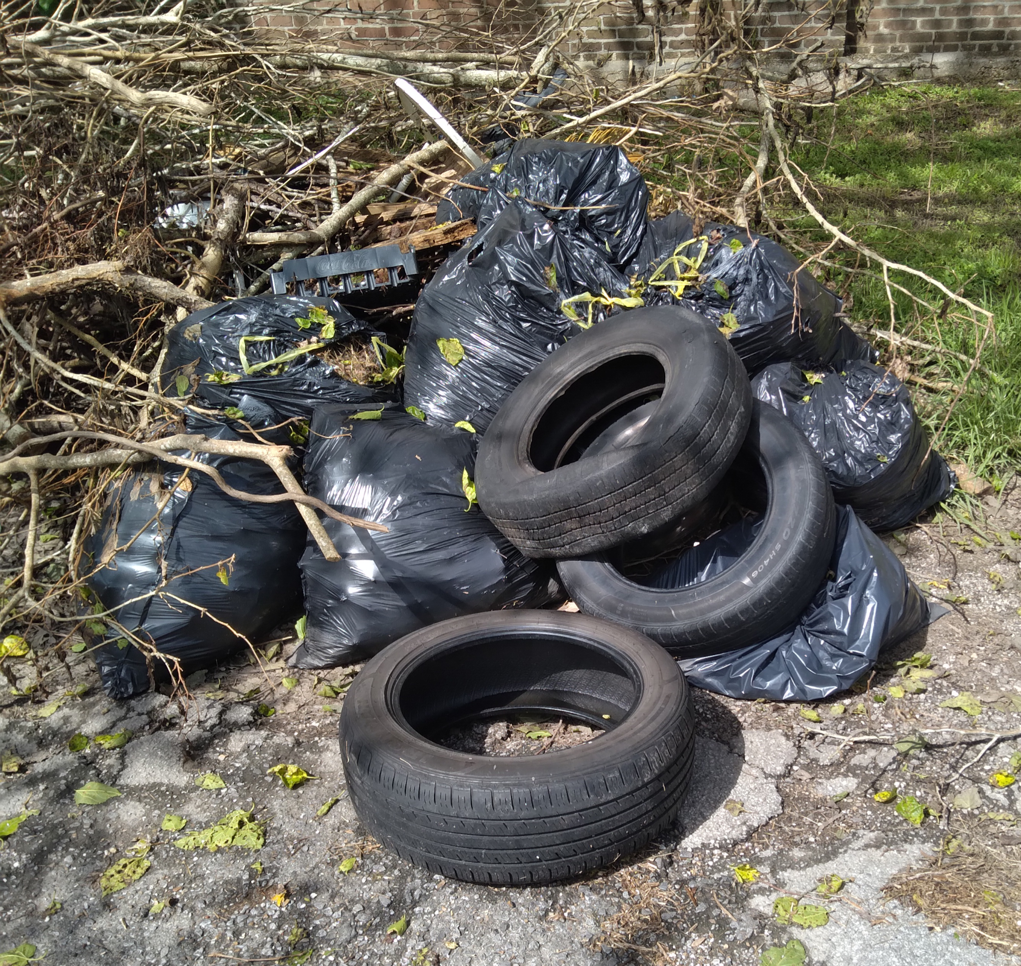 Tires dumped on Tricou Street, September 30, 2021. Photo by David Rhoden.